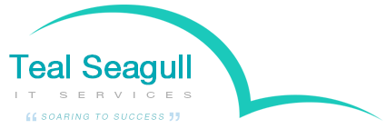 TealSeagull Logo